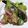 クックHIYL6I☆'s cooksnap of when they made キャベツキュウリとオイルサーディン.