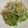 geranium♪'s cooksnap of when they made もやしとゴーヤのおひたし.