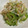 geranium♪'s cooksnap of when they made もやしとゴーヤのおひたし.