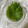 まこさんど's cooksnap of when they made 取り出し簡単！大葉の保存.