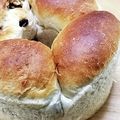 ★幸せな子ぶた★'s cooksnap of when they made 手こねもっちりちぎりパン.