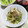 ネコかえる's cooksnap of when they made 鶏ともやしときゅうりの中華サラダ.