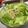 Kanarin579's cooksnap of when they made 永谷園お茶づけアレンジ！サラダうどん✨.
