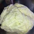 コバミツ's cooksnap of when they made ２週間後でもパリッパリ♪キャベツの保存法.