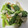 えみらくる's cooksnap of when they made レンジで３分♪　小松菜と竹輪のさっと煮♡.