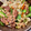 さすらい's cooksnap of when they made 豚こまとピーマンと人参のオイスター炒め.