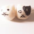 ℳ.'s cooksnap of when they made おにぎり☆にゃんこ大戦争♪キャラ弁.