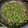 四児のハハ's cooksnap of when they made 作り置き、大人のツナピーマン。.