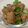 ビスビスビスケ's cooksnap of when they made 簡単ヘルシー【こんにゃくの甘辛煮】.