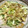 けんけんけけけ's cooksnap of when they made きゅうりと茄子の胡麻和え.
