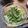 みええるも's cooksnap of when they made ゴーヤとツナの塩昆布和え.