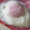 ﾋﾟﾛﾐ♡'s cooksnap of when they made 目玉焼きもいいけど ハムエッグ☆.