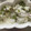 ayu's cooksnap of when they made 簡単♫離乳食後期〜ナスの味噌炒め煮.