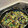 クック41GFJ7☆'s cooksnap of when they made なすと厚揚げの香ばしごま味噌炒め.