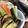 クック☆Zoo's cooksnap of when they made ポン酢で簡単♪レンジピクルス.