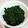 すずなまり's cooksnap of when they made モロヘイヤの茹で方～お浸し.