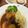 クック6AZ6HN☆'s cooksnap of when they made 牛タンシチュー圧力鍋でやわらか簡単.