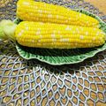 ボブナナ's cooksnap of when they made とうもろこしのベストな茹で方.