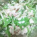 ☆クックAco☆'s cooksnap of when they made 水菜と豆腐とツナのサラダ.