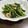 らむちゃんの中の人's cooksnap of when they made モロヘイヤとエビのニンニク炒め.