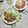 まりゆりひろこ's cooksnap of when they made 簡単！美味しい！豚肩ロースの生姜焼き.