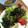 りりりママ508's cooksnap of when they made 【料理上手の母直伝】簡単チョレギサラダ.