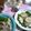 kojikamori's cooksnap of when they made 舌ヒラメのムニエル、レモンバターソース.