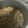 クックOY6BFX☆'s cooksnap of when they made 挽き肉のおにぎり.