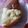 にゃる餅★'s cooksnap of when they made 炊飯器でさつまいもヨーグルトケーキ.
