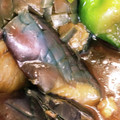 ＊こおこ＊'s cooksnap of when they made 揚げずに簡単！鶏むね茄子のめんつゆ浸し.