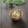 まろんかふぇ's cooksnap of when they made おばんざい✿おくらの白和え.