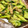クックP5NNN7☆'s cooksnap of when they made これこれ！簡単！焼肉屋のキュウリの漬物.