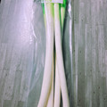 のんべぇヒロ's cooksnap of when they made 新鮮長持ち♡長葱と小葱の長期保存.