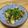アレックスゴールデン's cooksnap of when they made 豆苗とちくわのガーリック塩炒め.