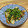 アレックスゴールデン's cooksnap of when they made 豆苗とちくわのガーリック塩炒め.