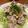 むねともも22's cooksnap of when they made たれが美味しい豚しゃぶサラダ.