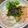 yu🐓's cooksnap of when they made さっぱり♡鮭オクラのとろろ丼.