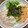 yu228's cooksnap of when they made さっぱり♡鮭オクラのとろろ丼.