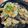 ☆★チョコ☆★'s cooksnap of when they made 豚しゃぶと茄子の香味だれ和え.