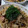 菜っつん☆'s cooksnap of when they made なすの煮浸しリメイク！簡単和風スープスパ.