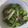 ｍａｋｉ0124's cooksnap of when they made 小松菜のガーリックソテー.