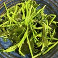 手抜きクック's cooksnap of when they made 豆苗とわかめのナムル風.