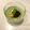 おかぁちゃーん's cooksnap of when they made 和スイーツ♡濃厚とろけるお抹茶プリン.