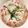 さおりらっくま's cooksnap of when they made やみつきしそ昆布大根.
