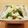 かなりんココりん's cooksnap of when they made レンコンと長ネギの中華風炒め.