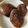 yu🐓's cooksnap of when they made ✨干し椎茸3枚毎日食べれば癌予防✨.