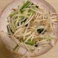 ピーナッツ子♪'s cooksnap of when they made もやしは便利　簡単もやしの和風炒め.