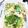 くっくペタ's cooksnap of when they made 天ぷら衣の作り方.