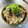 azbjbn's cooksnap of when they made おひとりさまのとろろ丼 Part3.