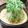 塩、こしょう's cooksnap of when they made 簡単☆冷やし坦々麺.